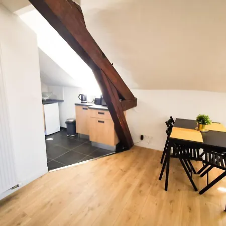 Cosy En Hypercentre - Le Petit Jules ディジョン