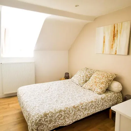 Cosy En Hypercentre - Le Petit Jules