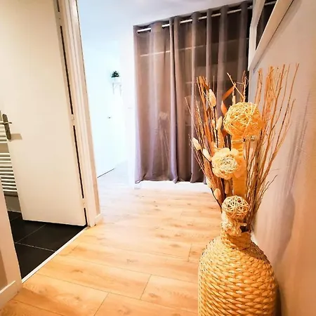 Cosy En Hypercentre - Le Petit Jules Appartement *