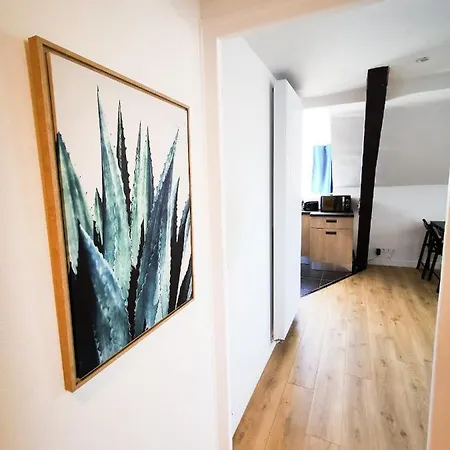 Cosy En Hypercentre - Le Petit Jules Appartamento Digione