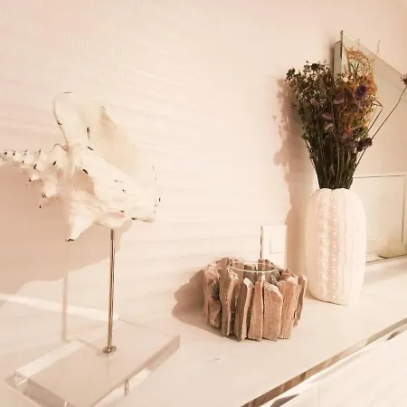 公寓 Cosy En Hypercentre - Le Petit Jules *