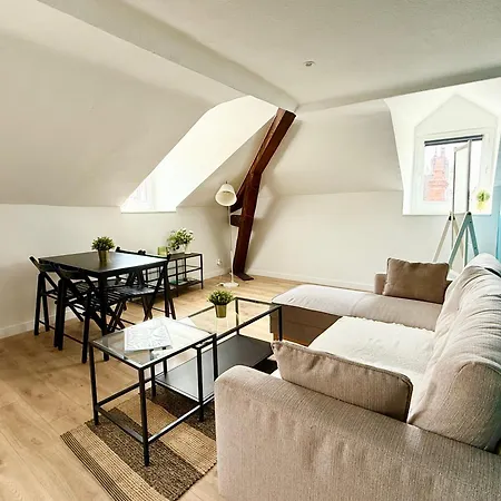 Cosy En Hypercentre - Le Petit Jules