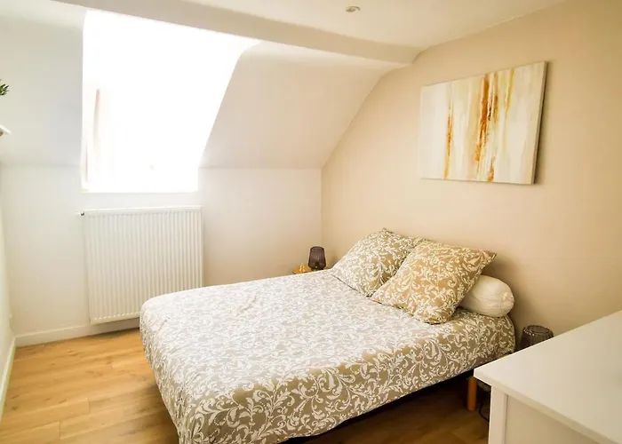 Cosy En Hypercentre - Le Petit Jules