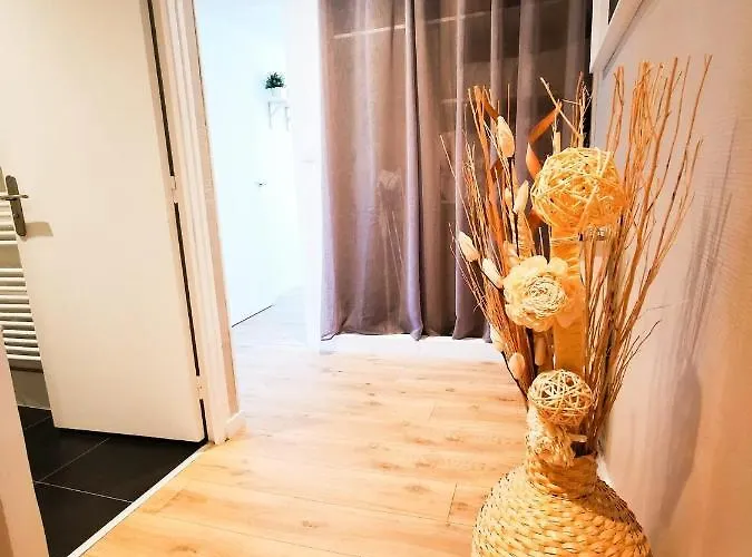 Cosy En Hypercentre - Le Petit Jules Appartement *