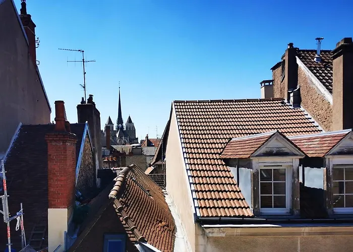 Appartement Cosy En Hypercentre - Le Petit Jules